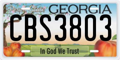 GA license plate CBS3803