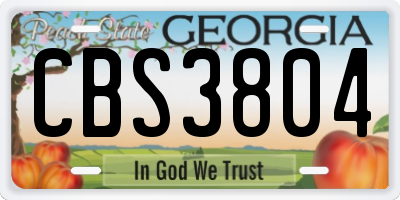 GA license plate CBS3804