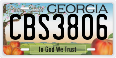 GA license plate CBS3806