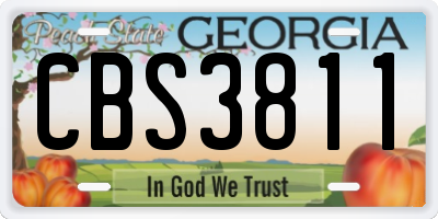GA license plate CBS3811