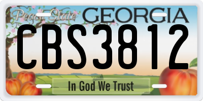 GA license plate CBS3812