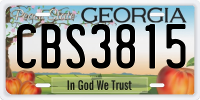 GA license plate CBS3815