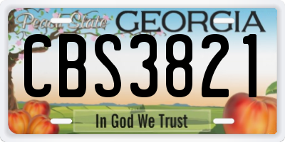 GA license plate CBS3821