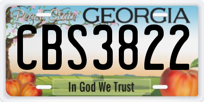 GA license plate CBS3822