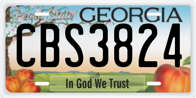 GA license plate CBS3824