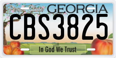 GA license plate CBS3825