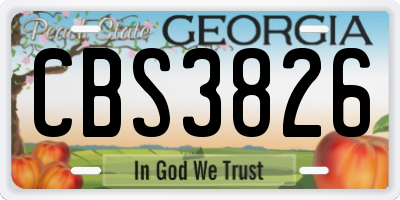 GA license plate CBS3826