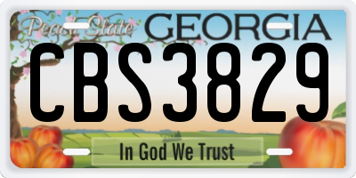 GA license plate CBS3829