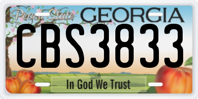 GA license plate CBS3833