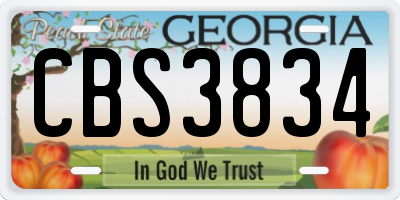 GA license plate CBS3834