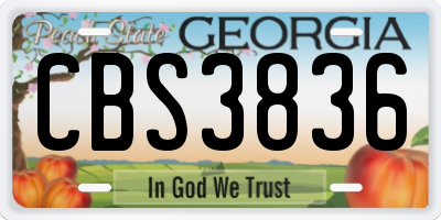 GA license plate CBS3836