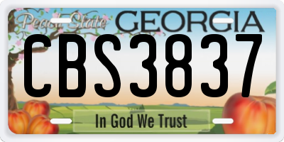 GA license plate CBS3837