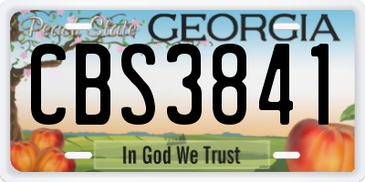 GA license plate CBS3841