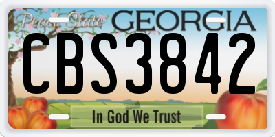 GA license plate CBS3842