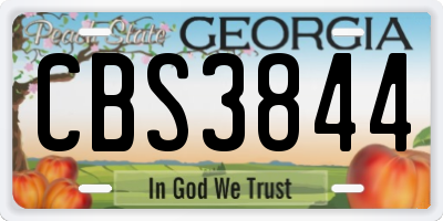 GA license plate CBS3844