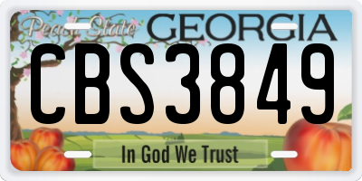 GA license plate CBS3849