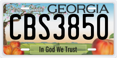 GA license plate CBS3850
