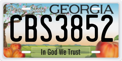 GA license plate CBS3852
