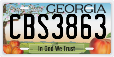 GA license plate CBS3863