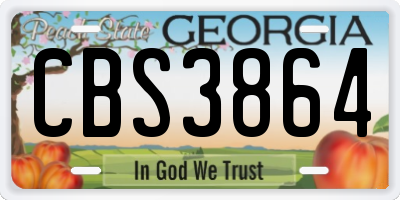 GA license plate CBS3864