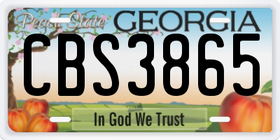 GA license plate CBS3865