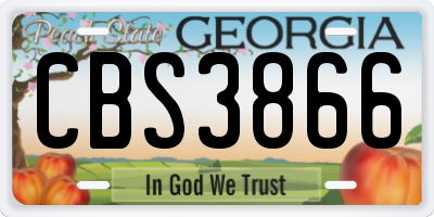 GA license plate CBS3866