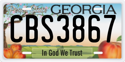 GA license plate CBS3867