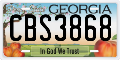 GA license plate CBS3868