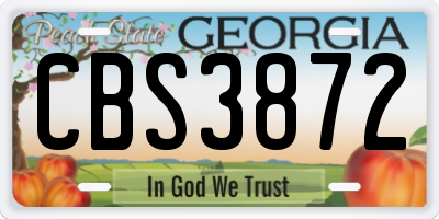 GA license plate CBS3872