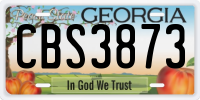 GA license plate CBS3873
