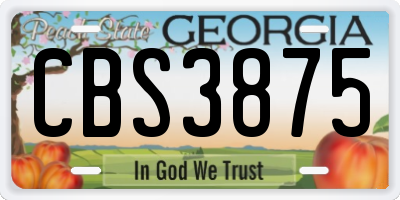GA license plate CBS3875