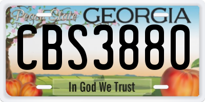 GA license plate CBS3880