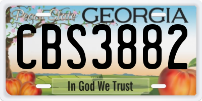 GA license plate CBS3882