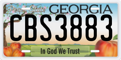 GA license plate CBS3883