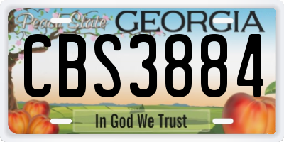 GA license plate CBS3884