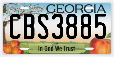 GA license plate CBS3885