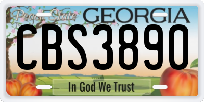 GA license plate CBS3890