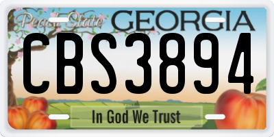 GA license plate CBS3894