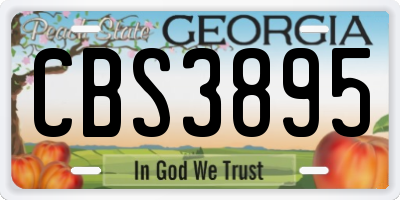 GA license plate CBS3895