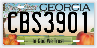 GA license plate CBS3901