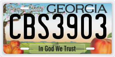 GA license plate CBS3903