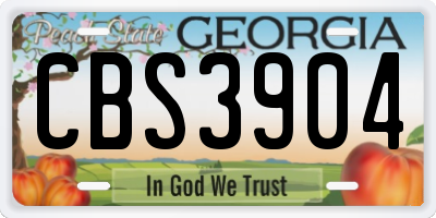 GA license plate CBS3904