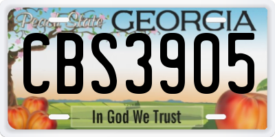 GA license plate CBS3905