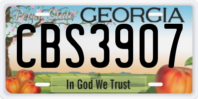 GA license plate CBS3907