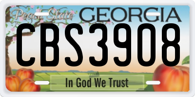 GA license plate CBS3908