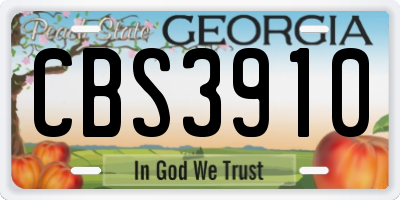 GA license plate CBS3910