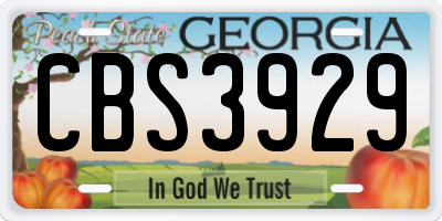 GA license plate CBS3929