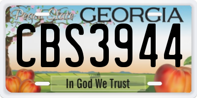 GA license plate CBS3944
