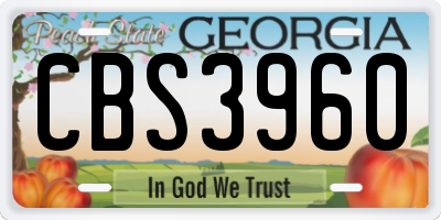 GA license plate CBS3960