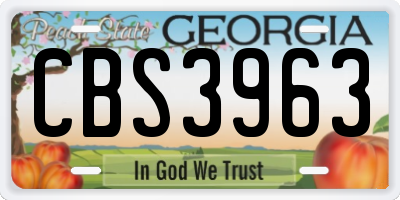 GA license plate CBS3963